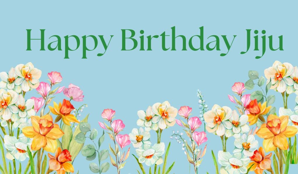 250+ Ultimate Birthday Wishes for Jiju: Heart-Touching Messages, Quotes & Creative Ideas to Make His Day Special Happy Birthday Jiju