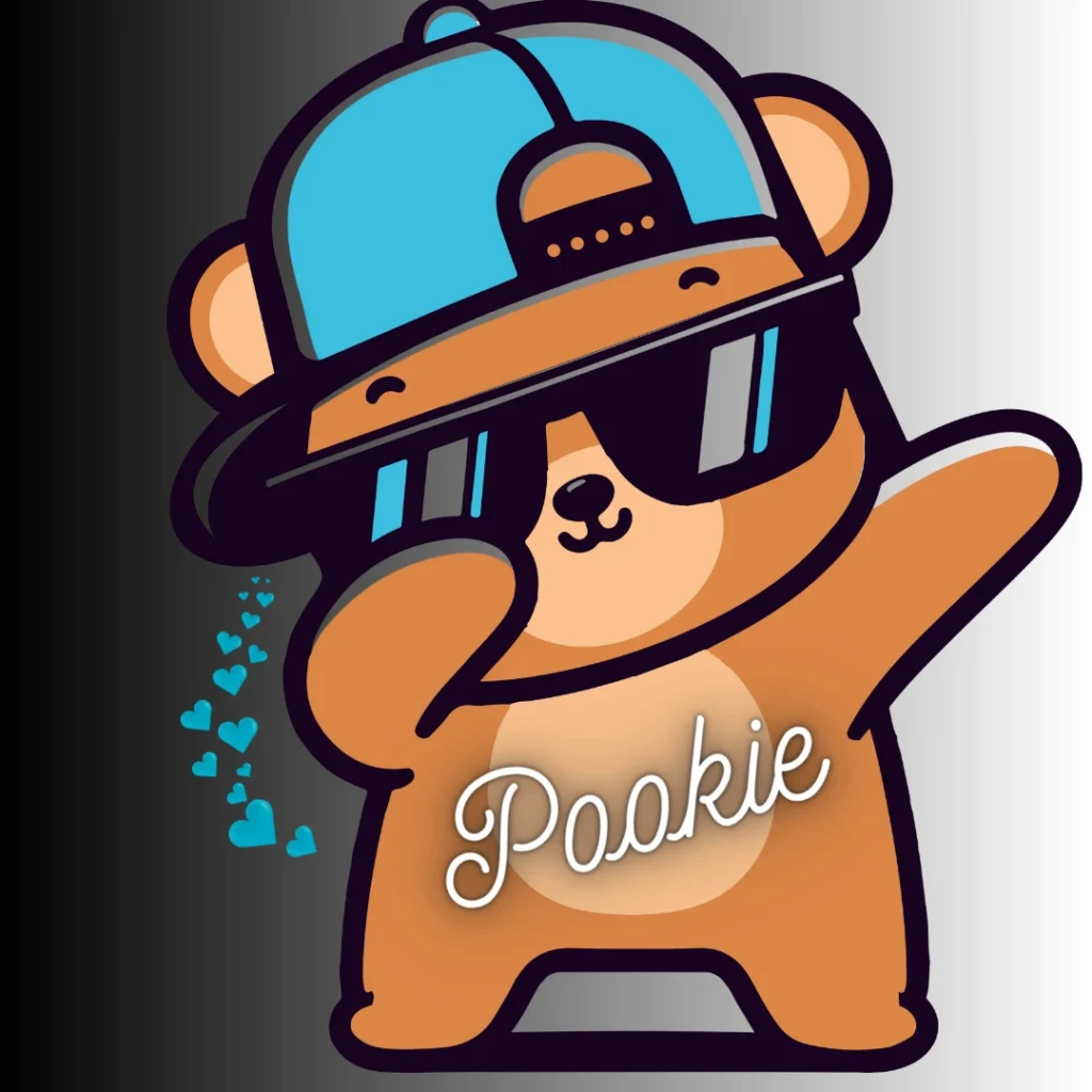 pookie mean