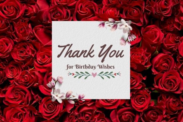 Thank You Note for Birthday Wishes