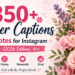 350+ Flower Captions & Quotes for Instagram (2026 Edition) — Aesthetic, Funny, Romantic & Viral 🌸