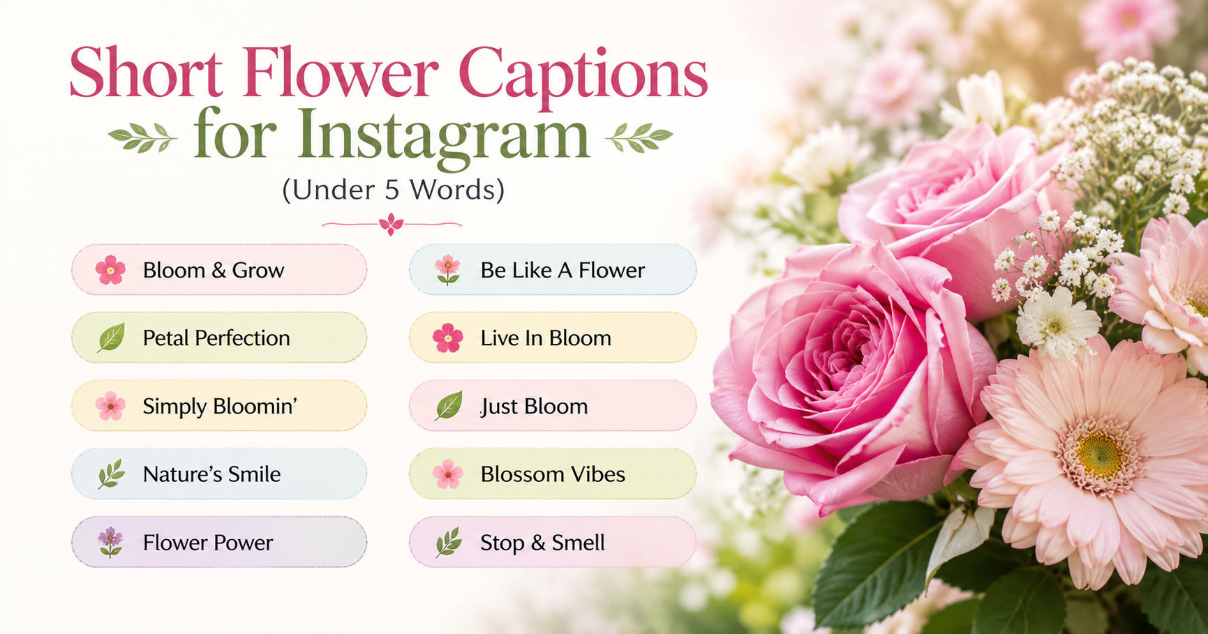 Short Flower Captions for Instagram (Under 5 Words) 🌿