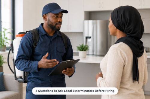 5 Questions To Ask Local Exterminators Before Hiring